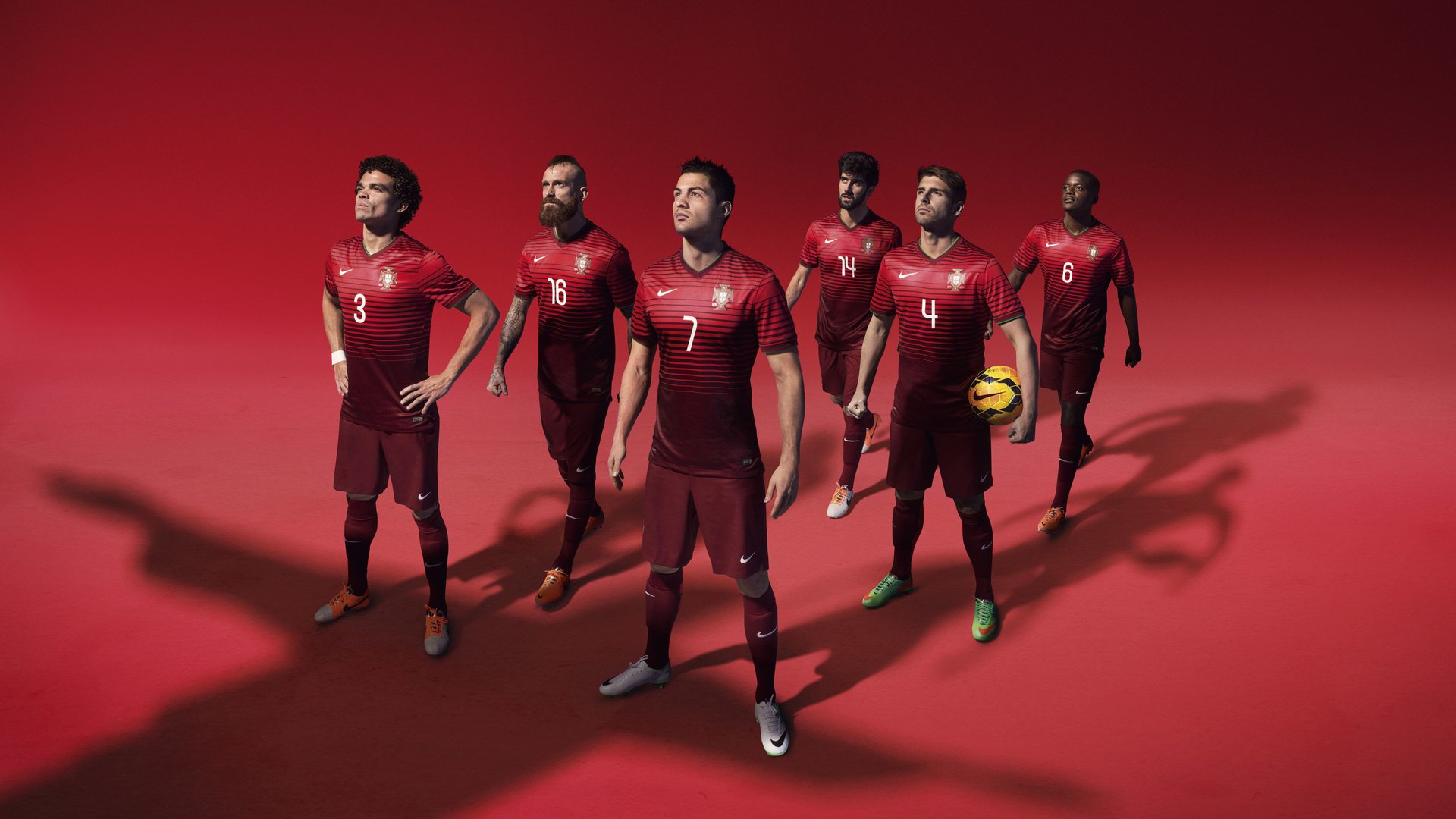 伊朗马术协会与非洲马术协会开展技术援助项目,提升当地水平。